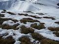fourcat_gerard 047